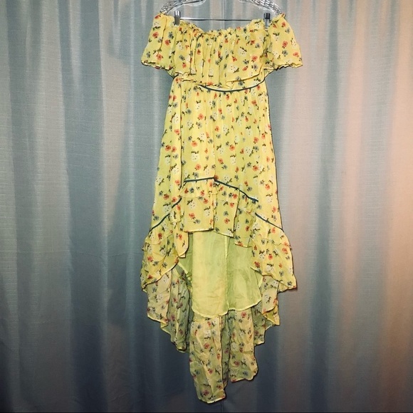 LoveShackFancy Dresses & Skirts - LoveshackFancy Alexia hi-low dress size 2